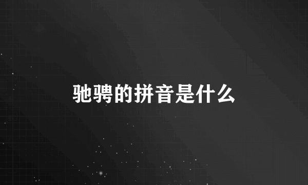 驰骋的拼音是什么