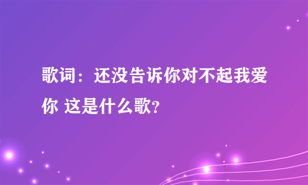 歌词：还没告诉你对不起我爱你 这是什么歌？