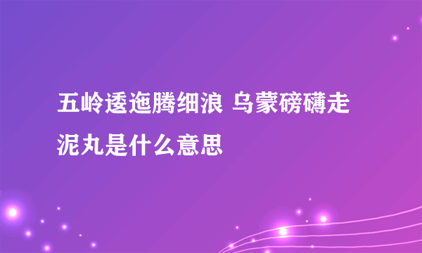 五岭逶迤腾细浪 乌蒙磅礴走泥丸是什么意思