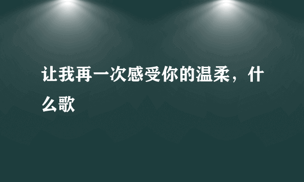 让我再一次感受你的温柔，什么歌