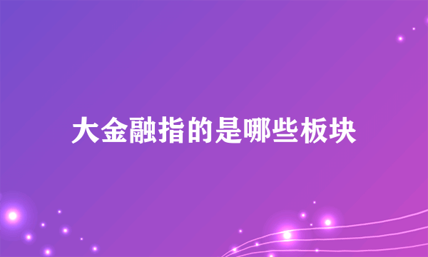 大金融指的是哪些板块