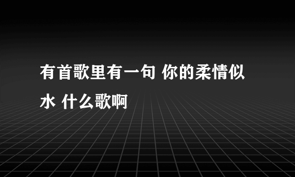 有首歌里有一句 你的柔情似水 什么歌啊