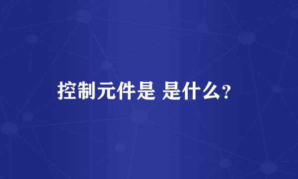 控制元件是 是什么？