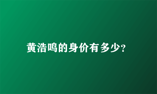 黄浩鸣的身价有多少？