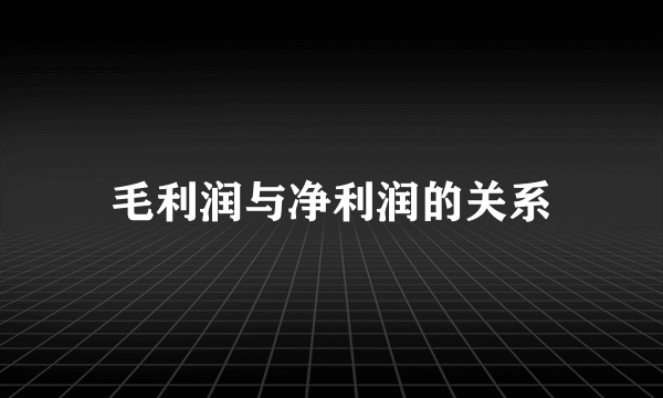 毛利润与净利润的关系