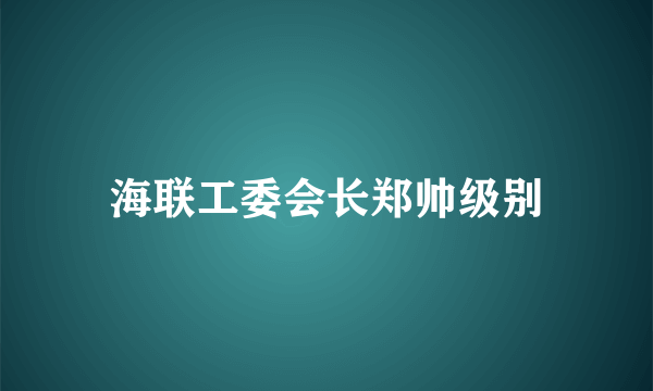 海联工委会长郑帅级别