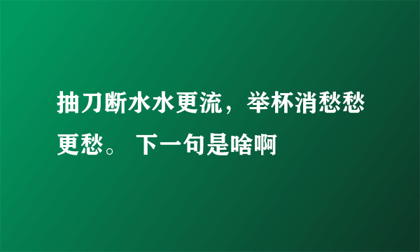 抽刀断水水更流，举杯消愁愁更愁。 下一句是啥啊