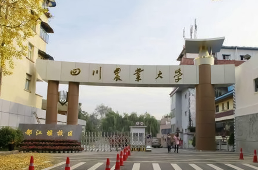 雅安有什么大学