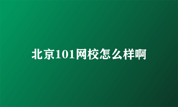 北京101网校怎么样啊