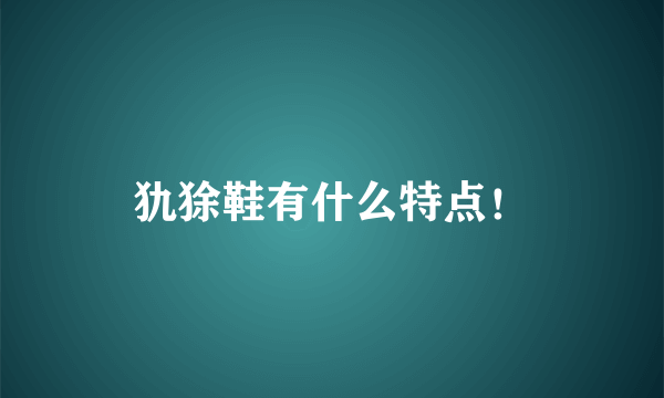 犰狳鞋有什么特点！