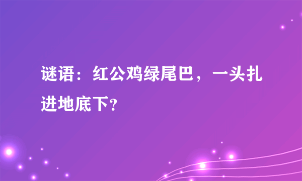 谜语：红公鸡绿尾巴，一头扎进地底下？