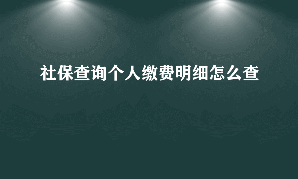 社保查询个人缴费明细怎么查