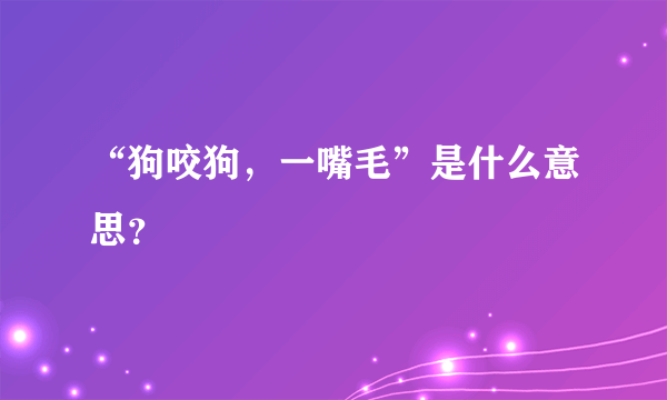 “狗咬狗，一嘴毛”是什么意思？