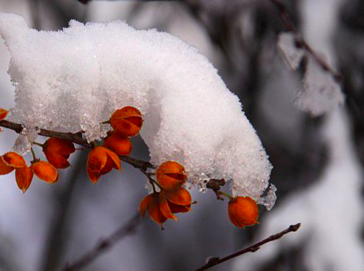 雪是怎么形成的,答案简单些