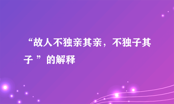 “故人不独亲其亲，不独子其子 ”的解释