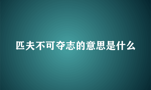 匹夫不可夺志的意思是什么