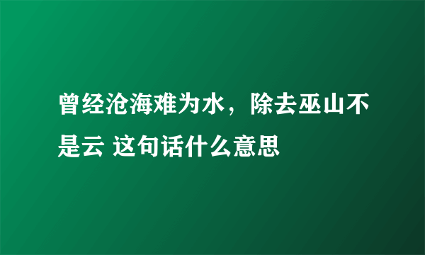 曾经沧海难为水，除去巫山不是云 这句话什么意思