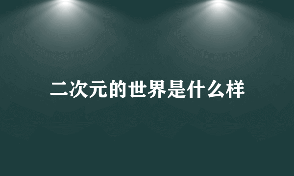 二次元的世界是什么样