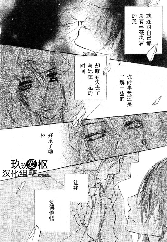 漫画吸血鬼骑士大结局