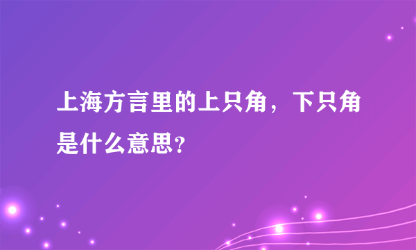 上海方言里的上只角，下只角是什么意思？