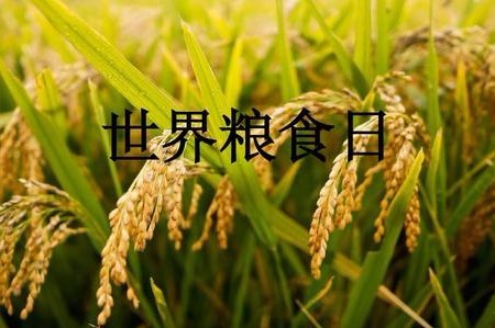 “世界粮食日”定在哪一天？