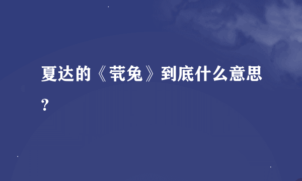 夏达的《茕兔》到底什么意思？