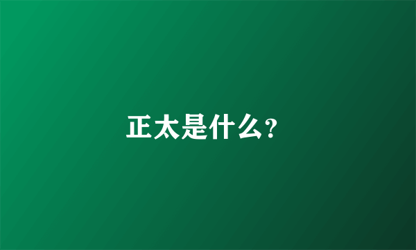 正太是什么？