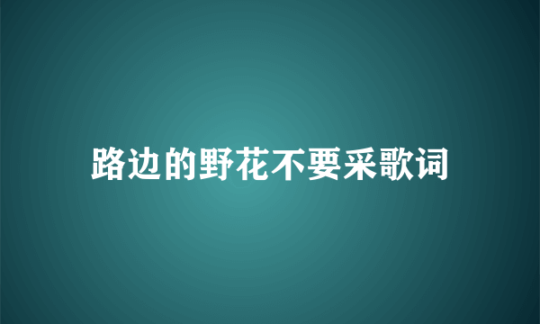 路边的野花不要采歌词