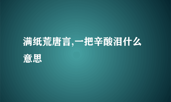 满纸荒唐言,一把辛酸泪什么意思