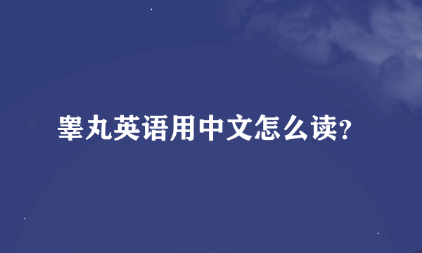 睾丸英语用中文怎么读？