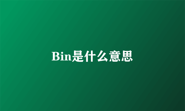 Bin是什么意思