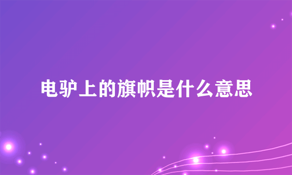 电驴上的旗帜是什么意思