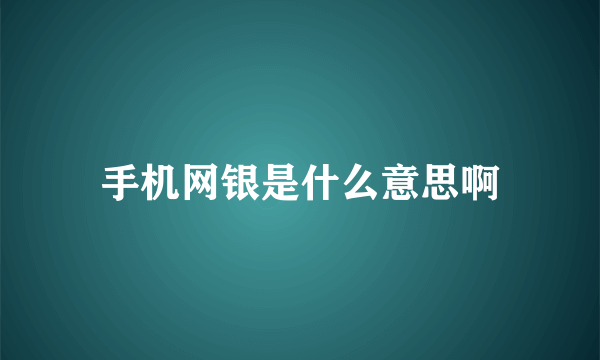 手机网银是什么意思啊