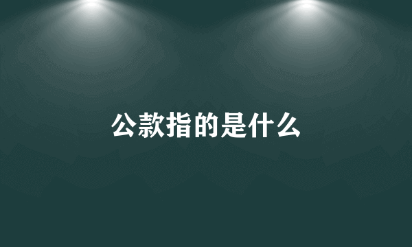 公款指的是什么