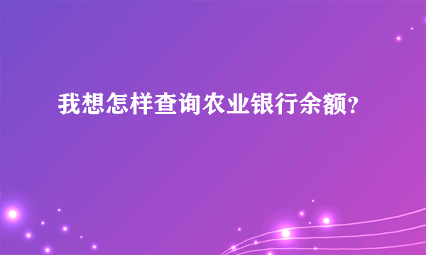 我想怎样查询农业银行余额？