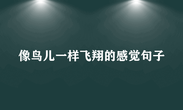 像鸟儿一样飞翔的感觉句子