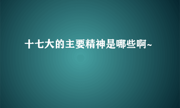 十七大的主要精神是哪些啊~