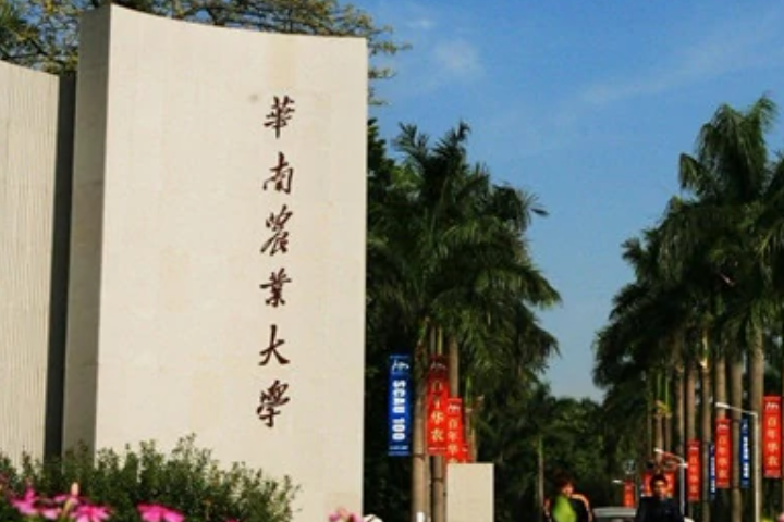 广东大学有哪些学校