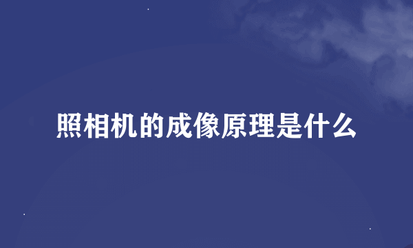 照相机的成像原理是什么