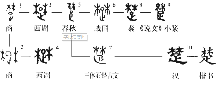 楚的部首是木还是疋?