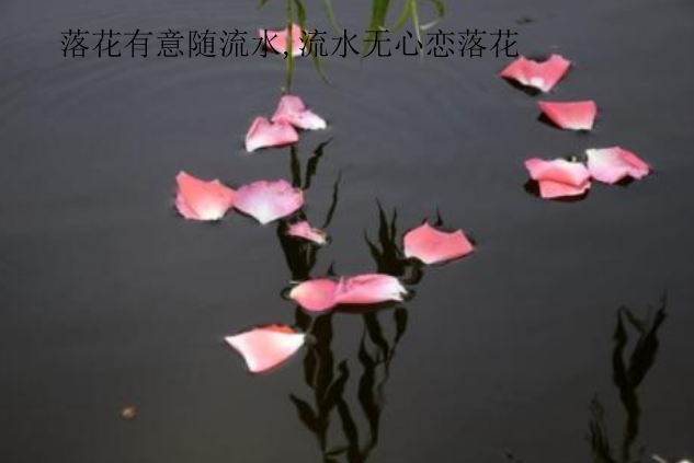 “落花有意随流水,流水无心恋落花”全诗