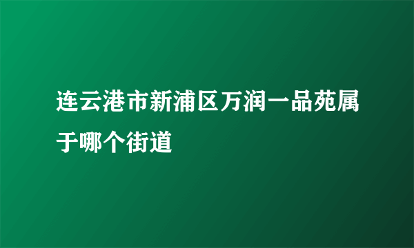 连云港市新浦区万润一品苑属于哪个街道