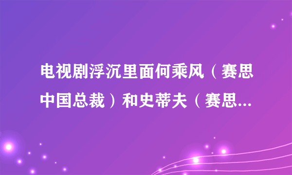 电视剧浮沉里面何乘风（赛思中国总裁）和史蒂夫（赛思市场部总监）谁的官位大？