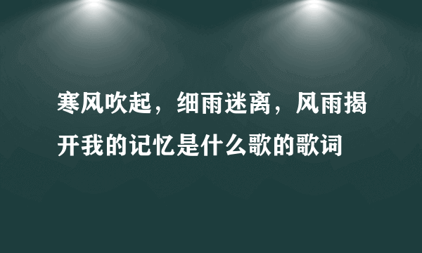 寒风吹起，细雨迷离，风雨揭开我的记忆是什么歌的歌词