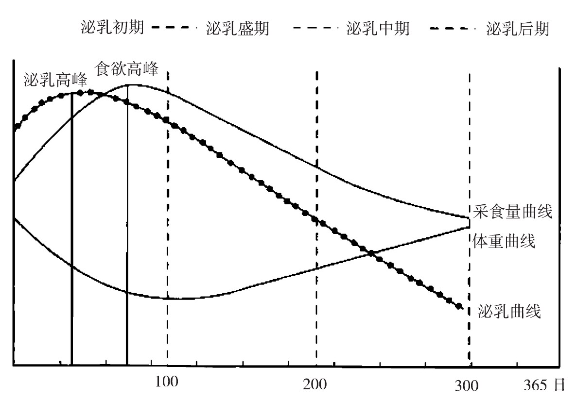 养奶牛怎么养