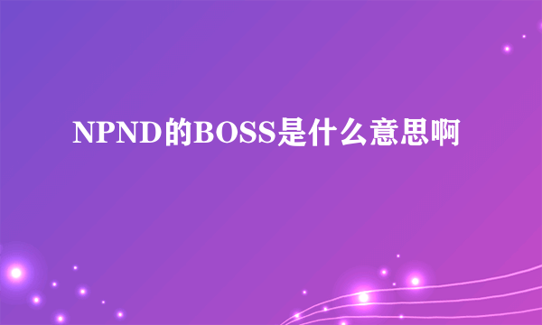 NPND的BOSS是什么意思啊