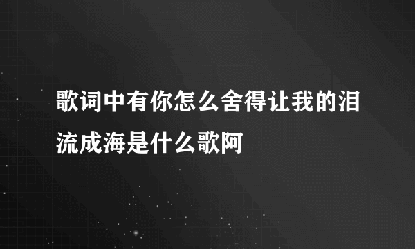 歌词中有你怎么舍得让我的泪流成海是什么歌阿