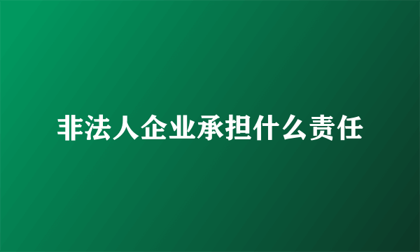 非法人企业承担什么责任