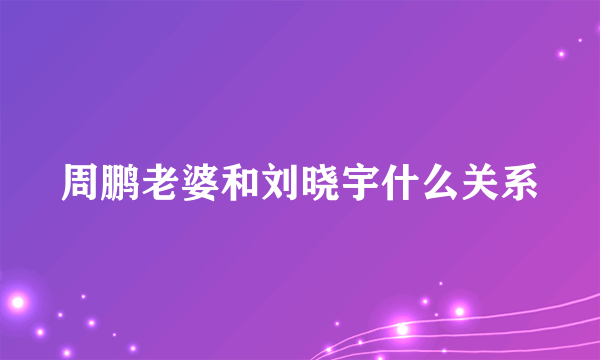 周鹏老婆和刘晓宇什么关系