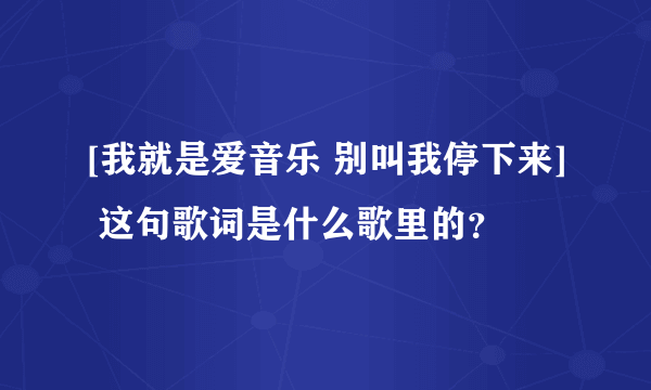 [我就是爱音乐 别叫我停下来] 这句歌词是什么歌里的？